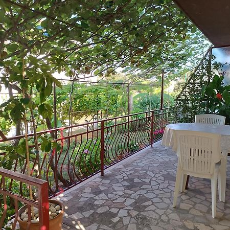 Levak Apartments - Apt. 2 普耶斯察纳乌瓦拉 外观 照片