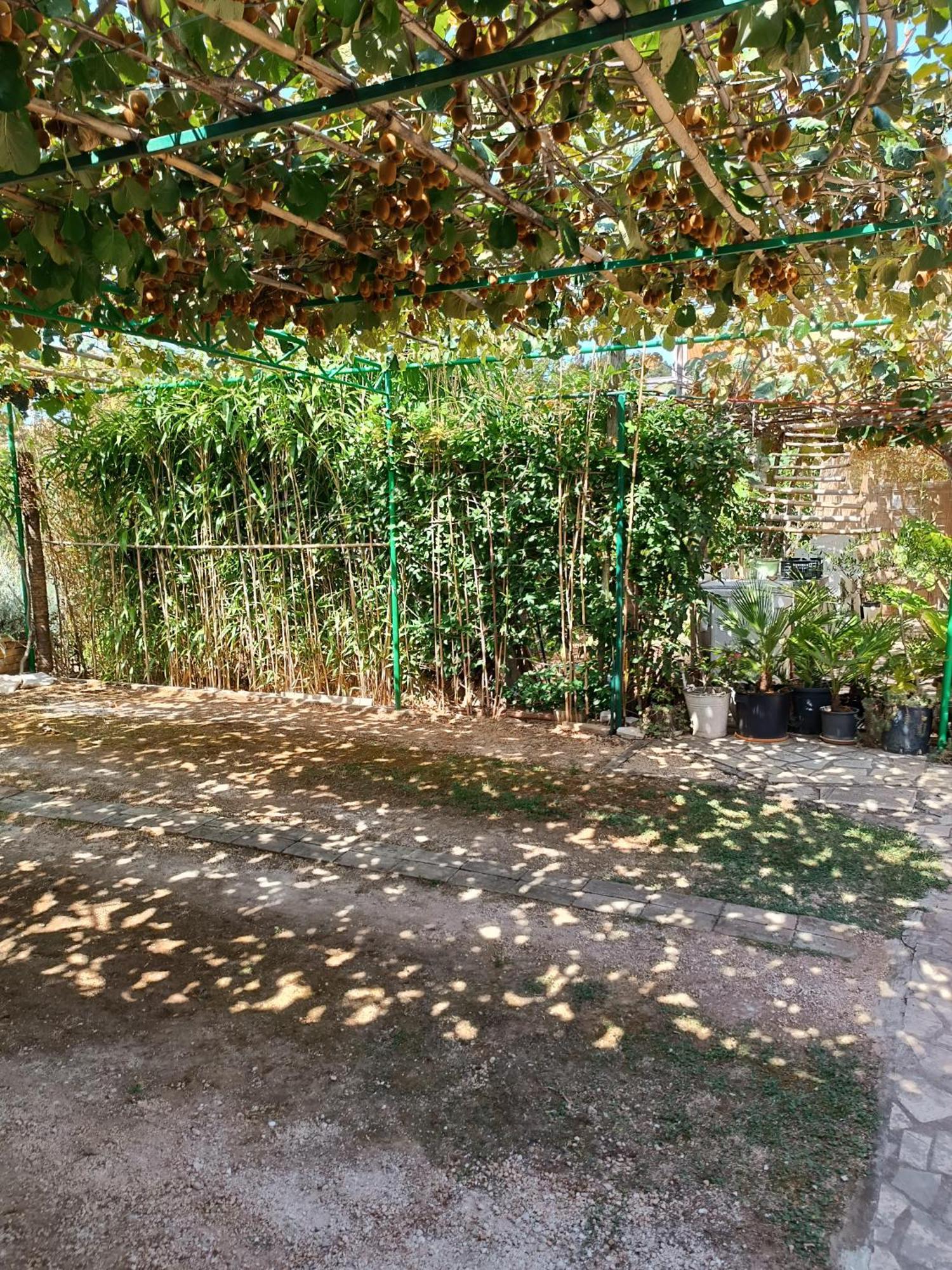 Levak Apartments - Apt. 2 普耶斯察纳乌瓦拉 外观 照片